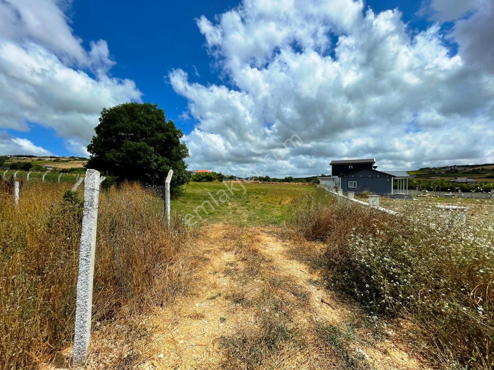 Çatalca Otoyolu 2.5 Km İmarın Tam Sınırında 2.239m2 Satılık Arsa - Görsel 10