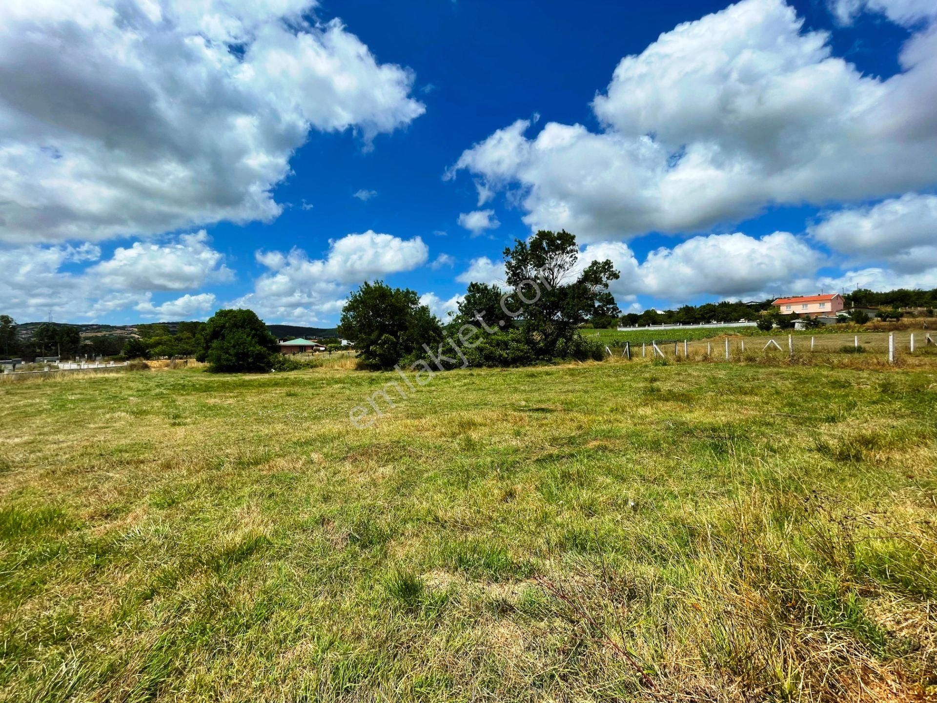 Çatalca Otoyolu 2.5 Km İmarın Tam Sınırında 2.239m2 Satılık Arsa - Görsel 34