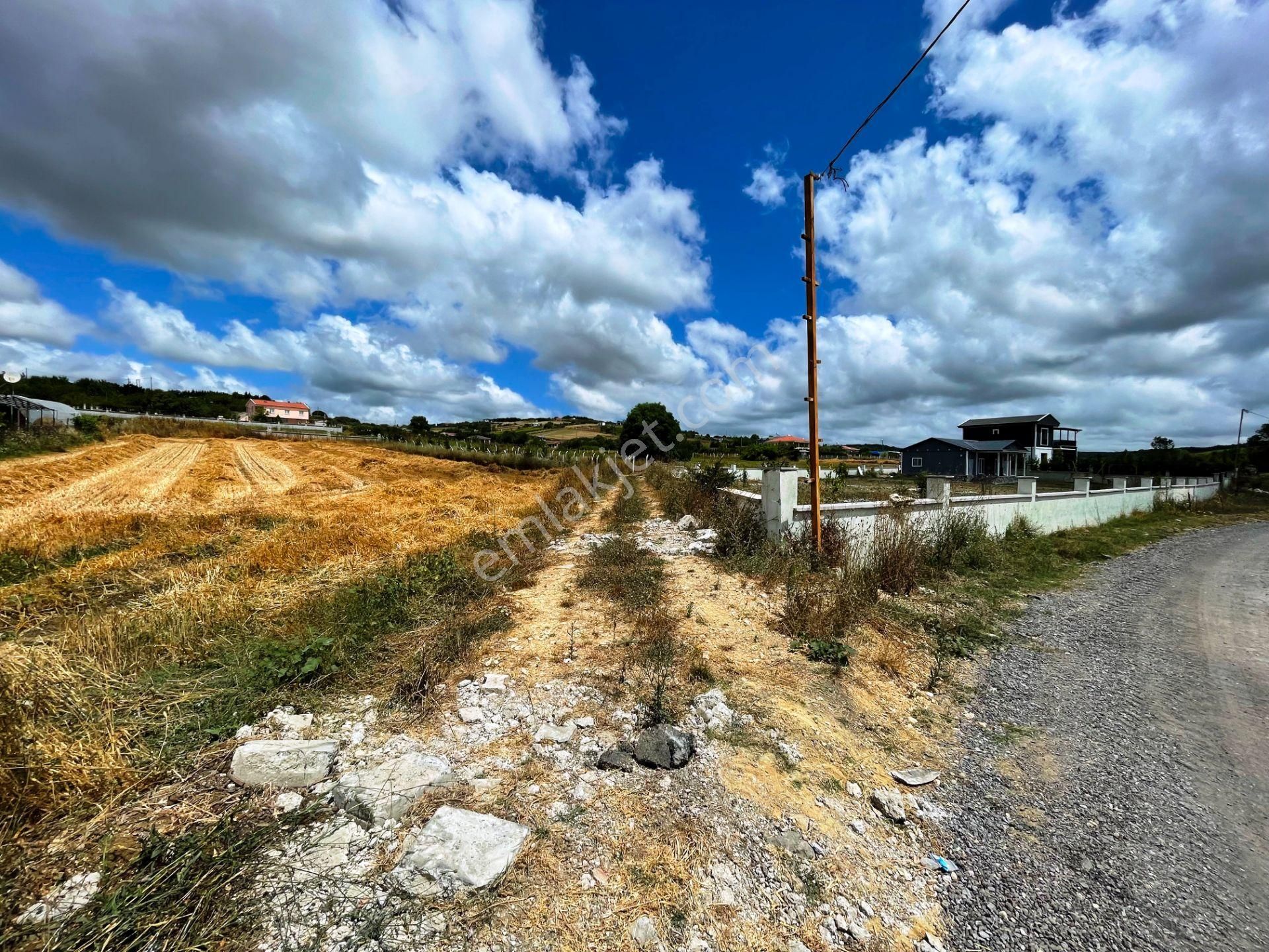 Çatalca Otoyolu 2.5 Km İmarın Tam Sınırında 2.239m2 Satılık Arsa - Görsel 8