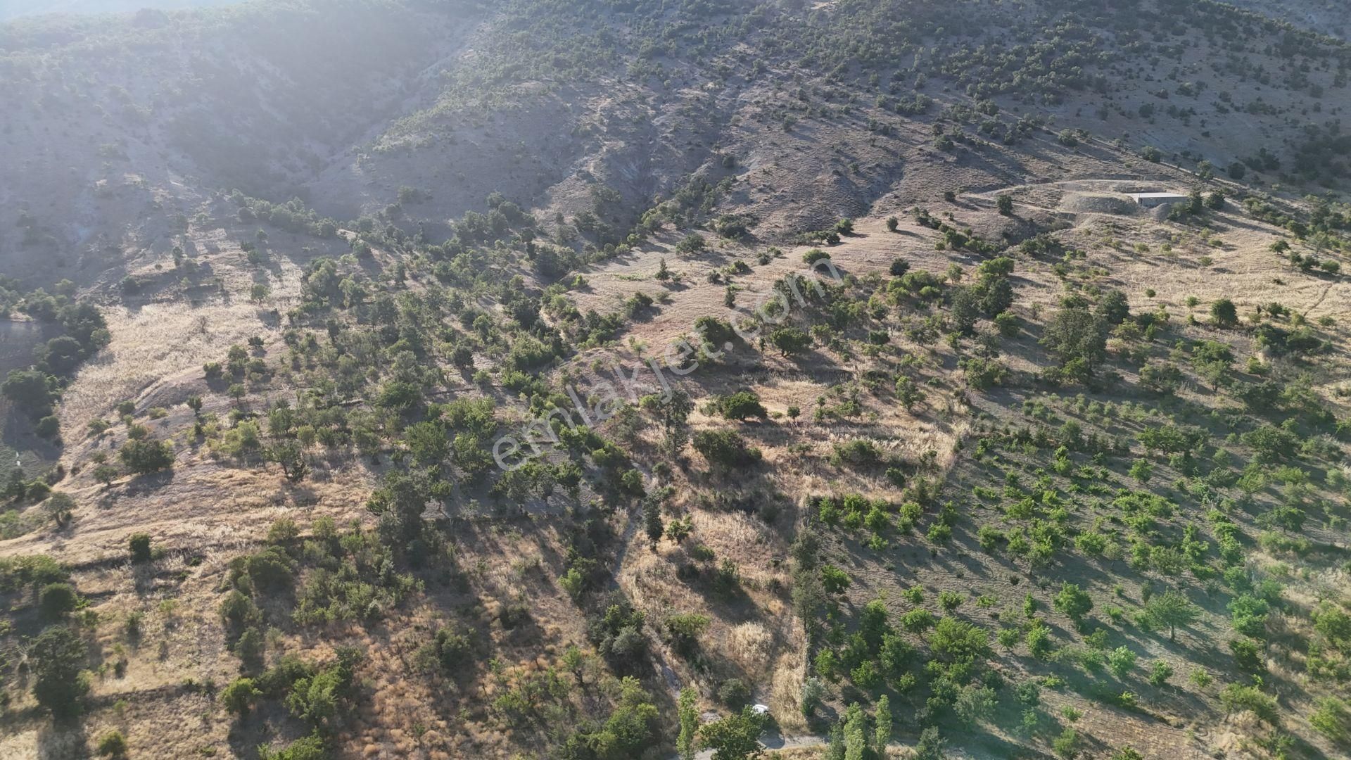 Konya / Meram / Yeşiltekke Mahallesinde 1.062 M² Müstakil Tapulu Tarla - Görsel 2