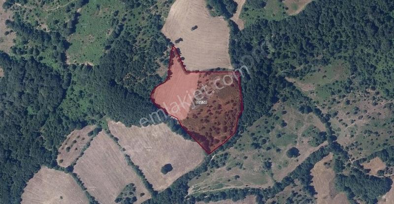 Çanakkale Yenice Tabanköy'de Fırsat Arazi - Görsel 4