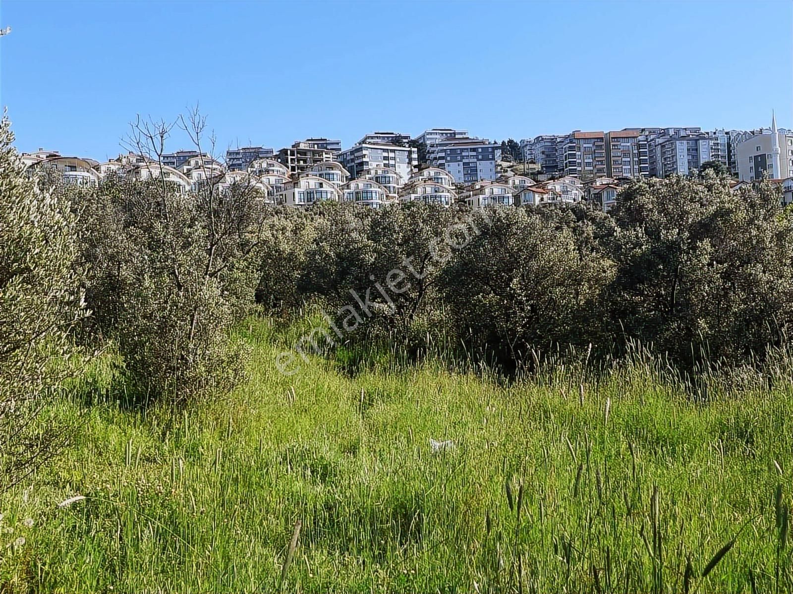 Güzelyalı Altınkum'da 715 M2 Villa İmarlı Arsa - Görsel 9