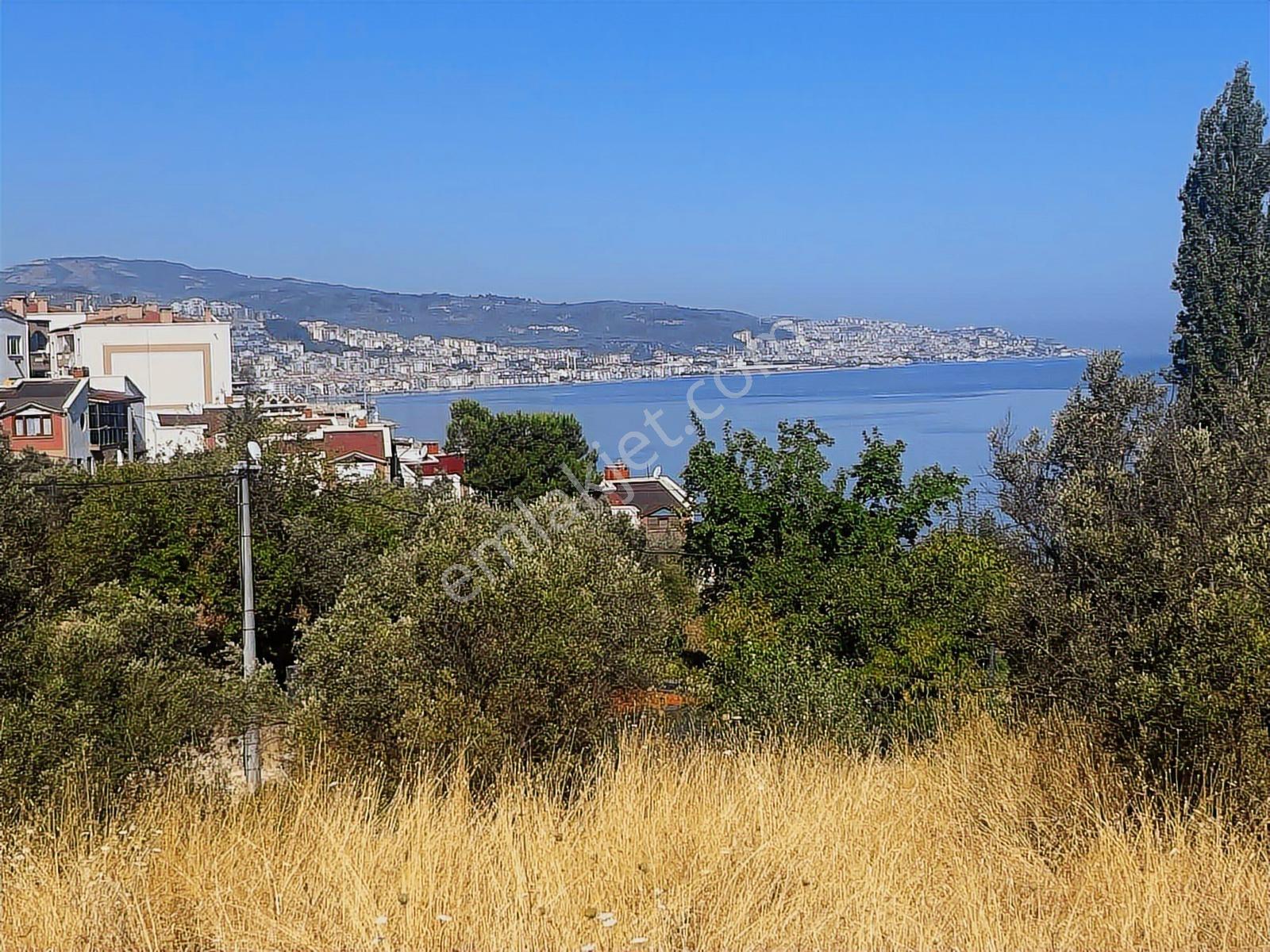 Güzelyalı Altınkum'da 715 M2 Villa İmarlı Arsa - Görsel 4