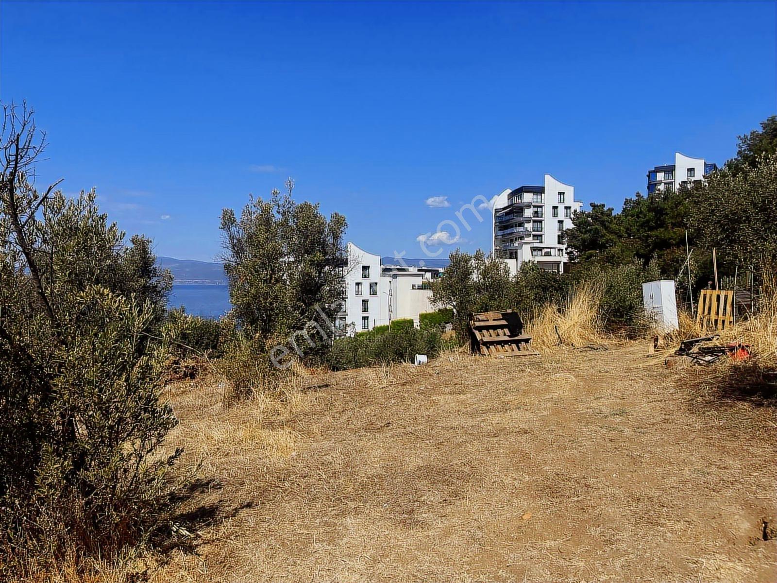 Güzelyalı Altınkum'da 715 M2 Villa İmarlı Arsa - Görsel 5