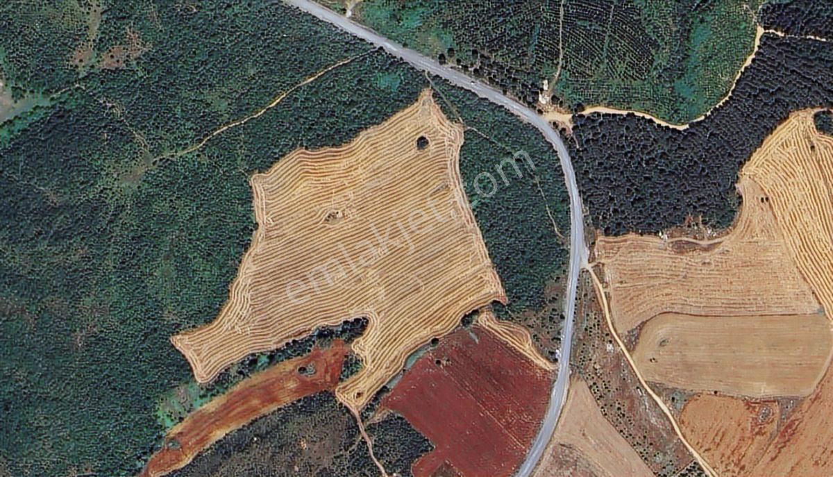 Arnavutköy Hacımaşlıda 17.792m²tarla-istanbul Havalimanı Yakını - Görsel 3