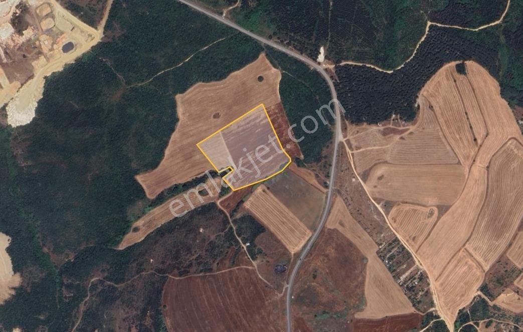 Arnavutköy Hacımaşlıda 17.792m²tarla-istanbul Havalimanı Yakını - Görsel 2