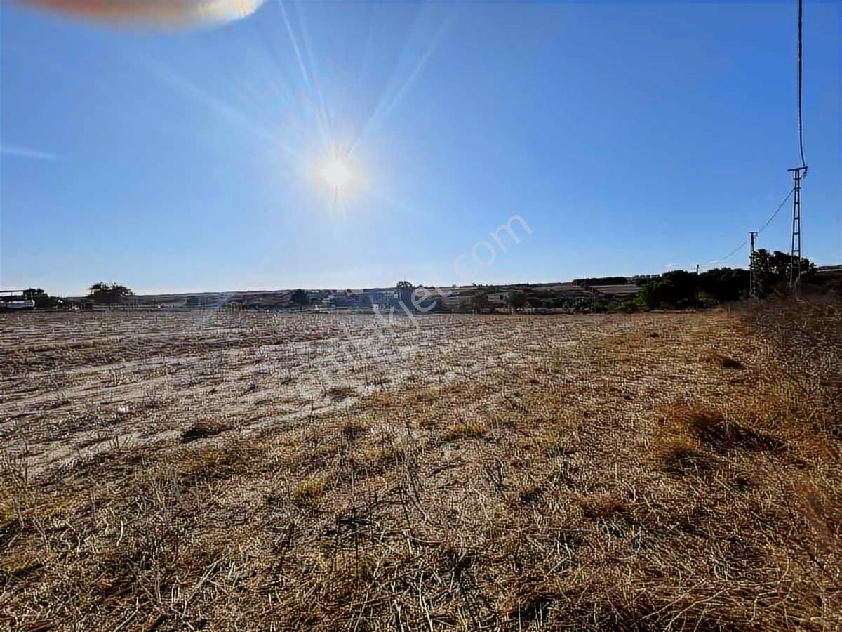 Silivri Büyükçavuşluda Satılık 9.636 M² Köşe Tarla - Görsel 14