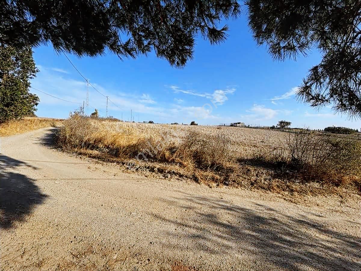 Silivri Büyükçavuşluda Satılık 9.636 M² Köşe Tarla - Görsel 22