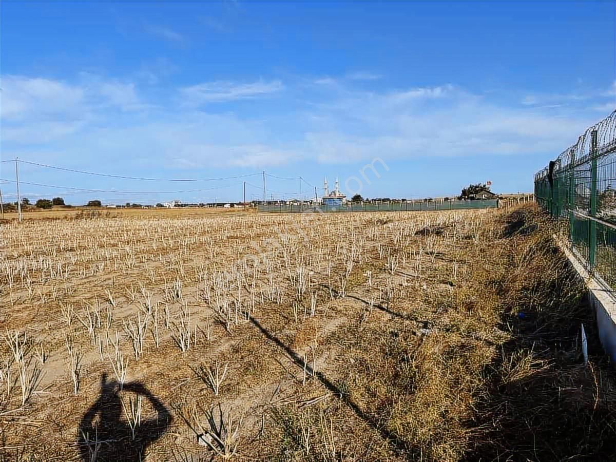 Silivri Büyükçavuşluda Satılık 9.636 M² Köşe Tarla - Görsel 3