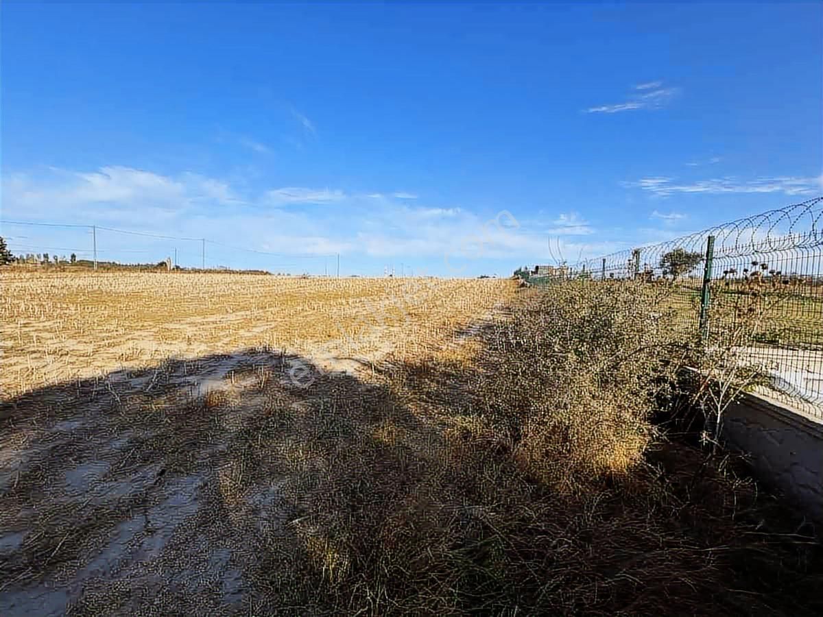 Silivri Büyükçavuşluda Satılık 9.636 M² Köşe Tarla - Görsel 12