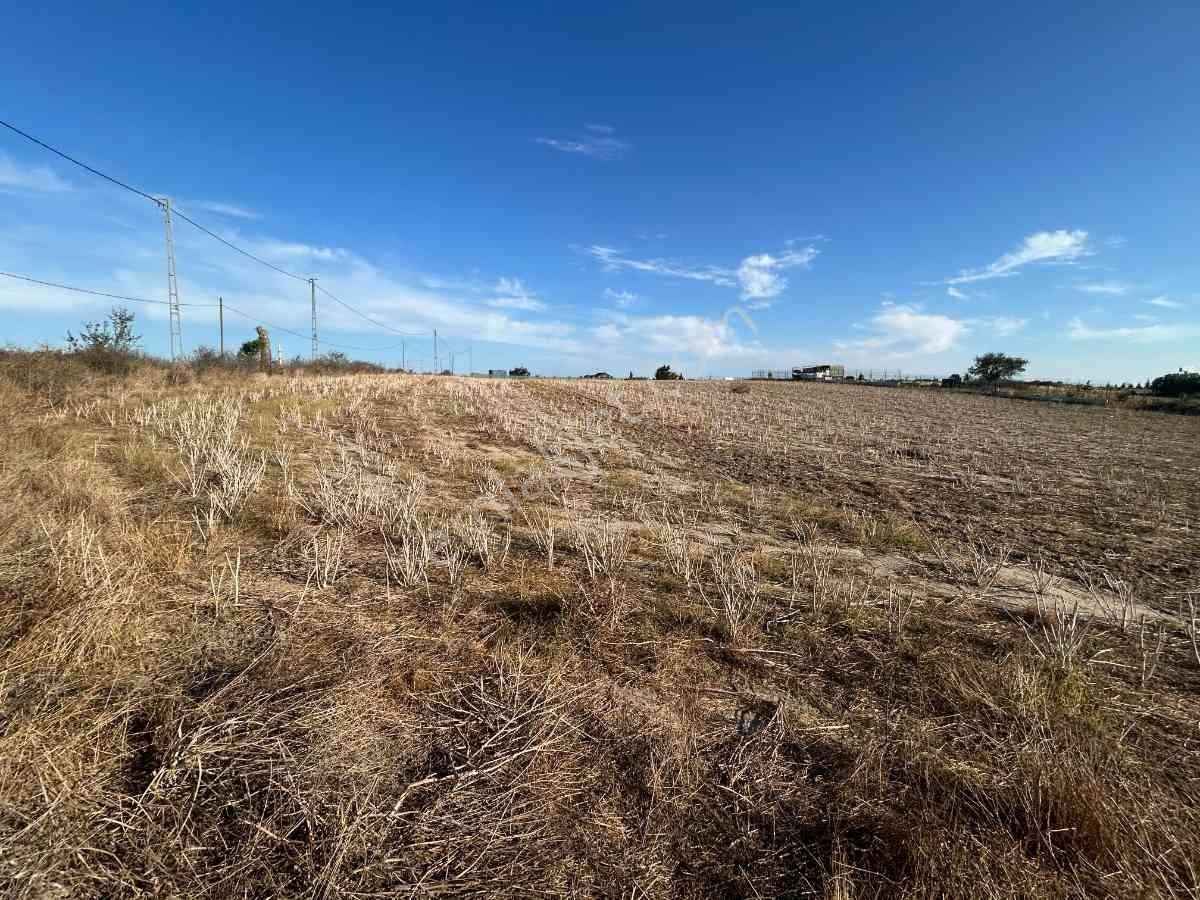 Silivri Büyükçavuşluda Satılık 9.636 M² Köşe Tarla - Görsel 4