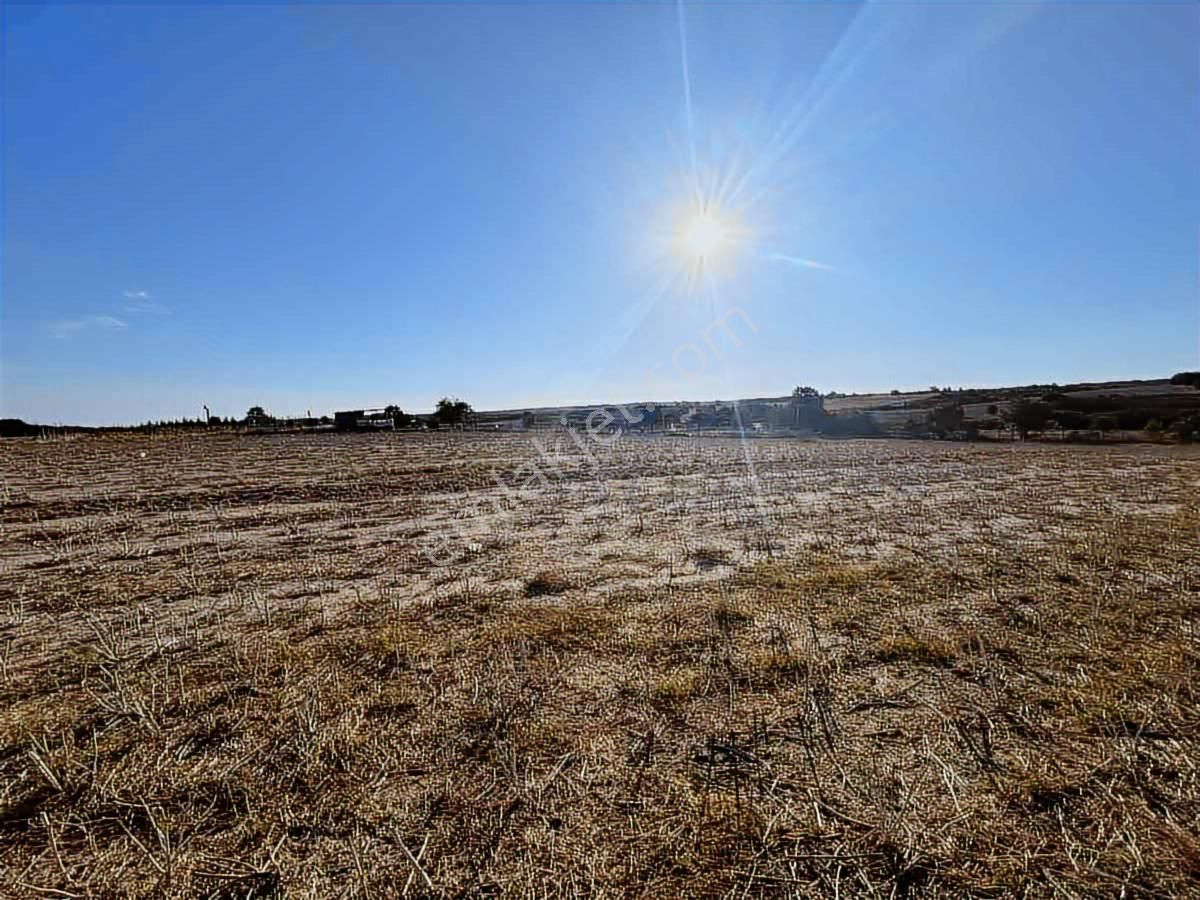 Silivri Büyükçavuşluda Satılık 9.636 M² Köşe Tarla - Görsel 9