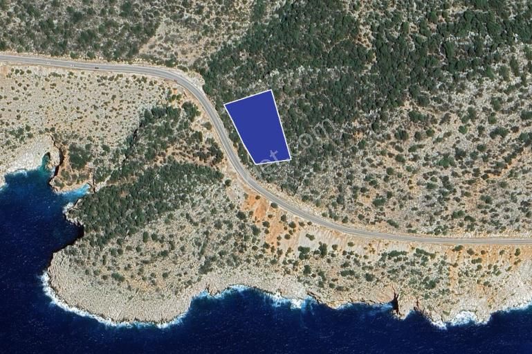 Kaş Bezirgan Deniz Manzaralı, Yola Cepheli 4.418 M² Zeytinlik