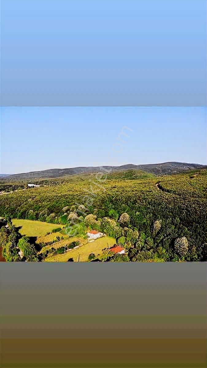 Çatalca Karamandere 1695 M2 Açık Alan İçerisinde Müstakil Ev - Görsel 4