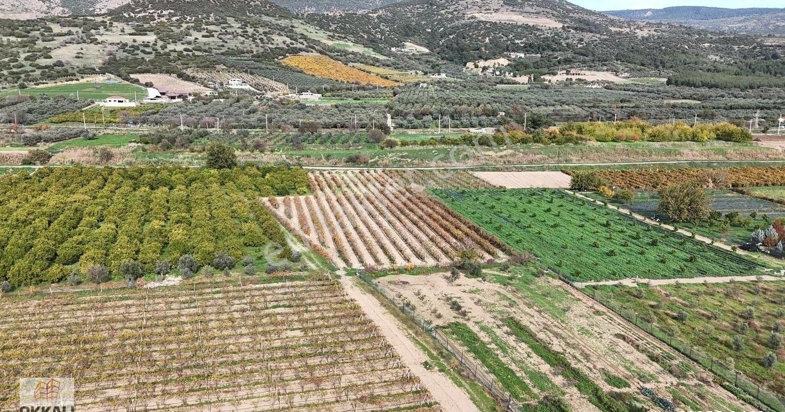 Okkalı Emlak Tan Menemen Yayla Mah De Satılık Müstakil Bahçe - Görsel 22