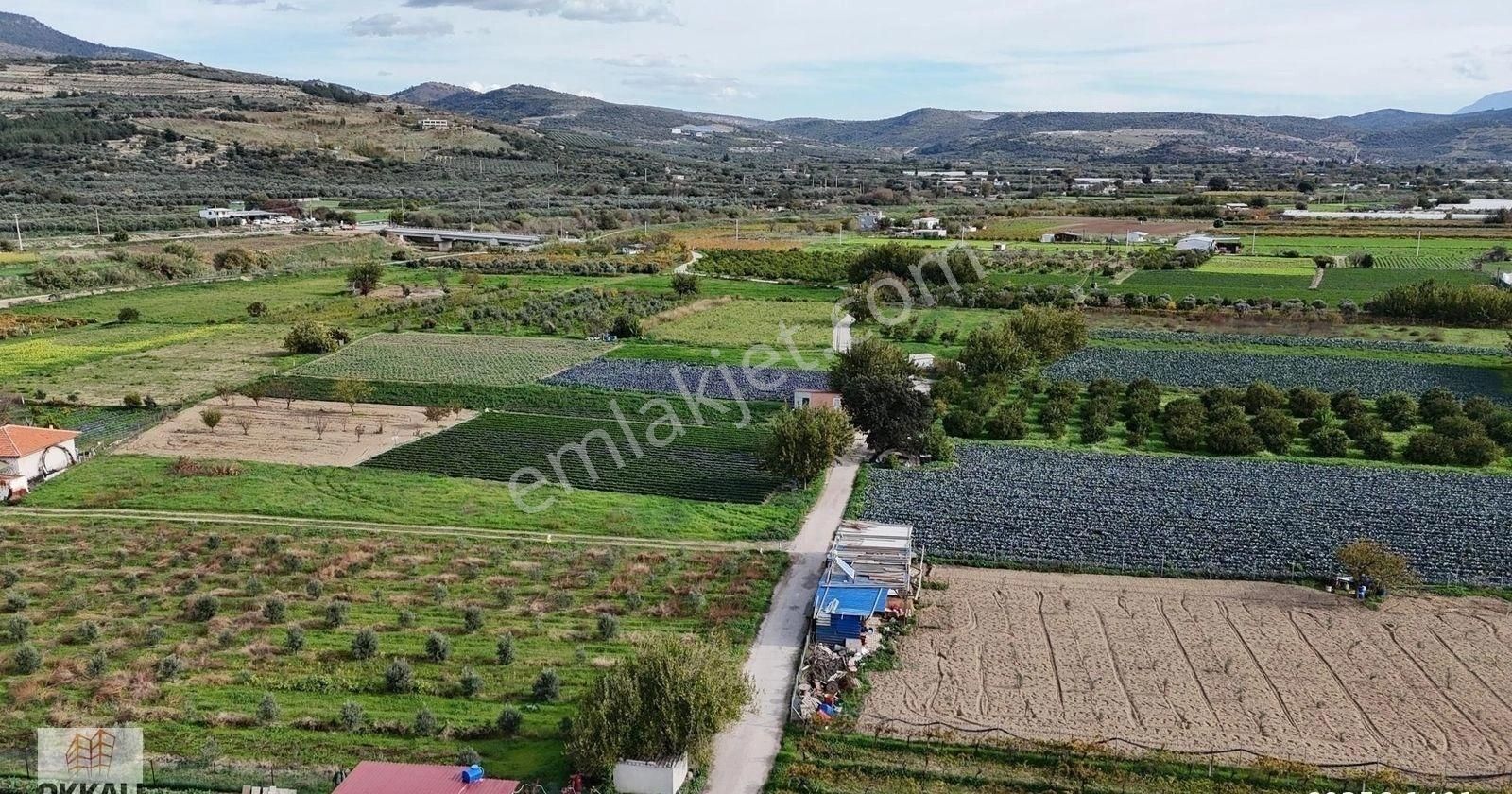 Okkalı Emlak Tan Menemen Yayla Mah De Satılık Müstakil Bahçe - Görsel 18