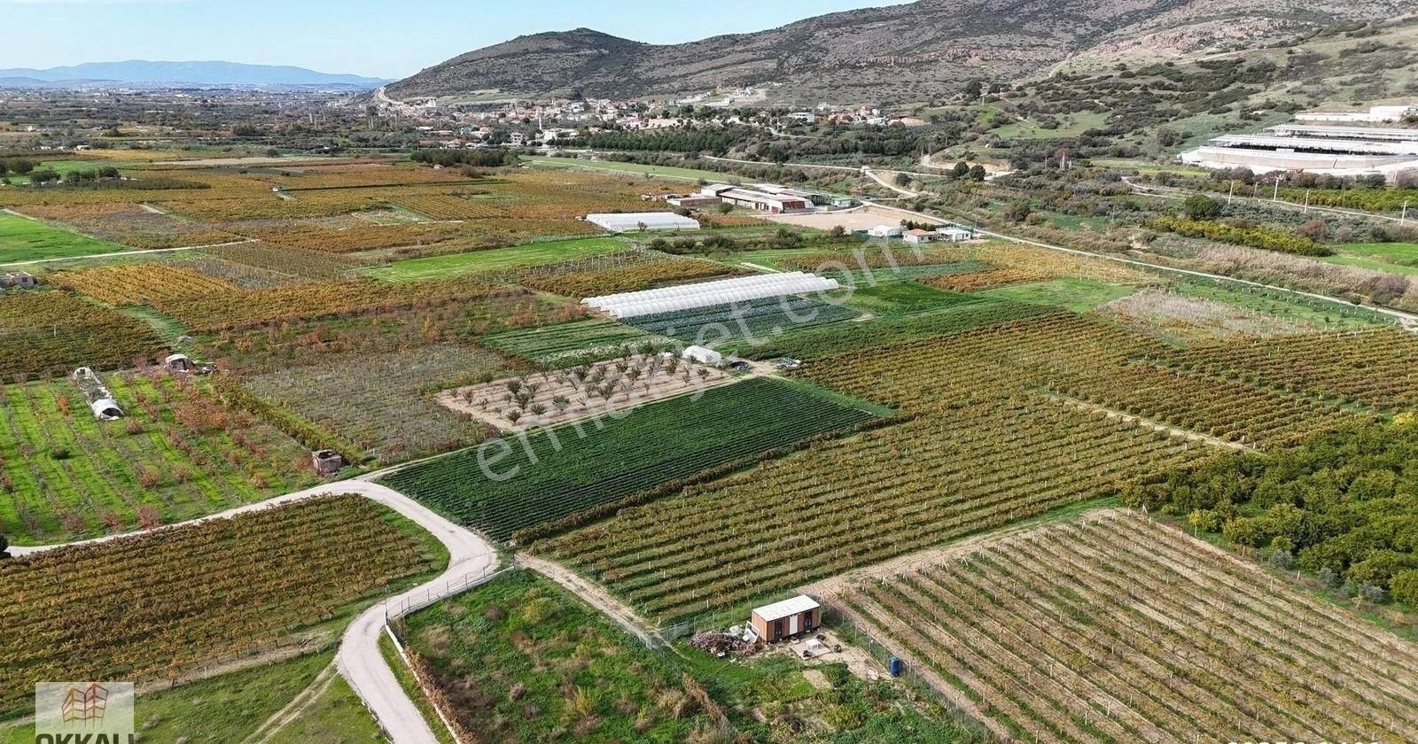 Okkalı Emlak Tan Menemen Yayla Mah De Satılık Müstakil Bahçe - Görsel 12