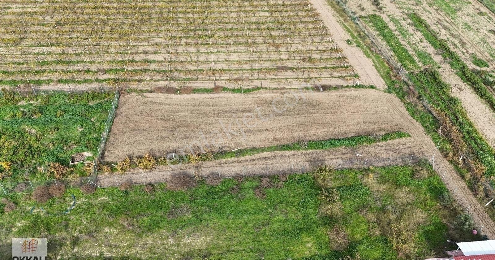 Okkalı Emlak Tan Menemen Yayla Mah De Satılık Müstakil Bahçe - Görsel 7