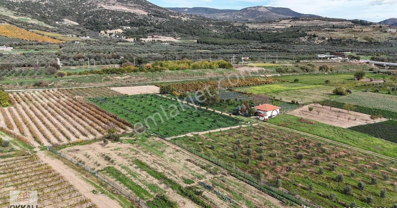 Okkalı Emlak Tan Menemen Yayla Mah De Satılık Müstakil Bahçe - Görsel 17