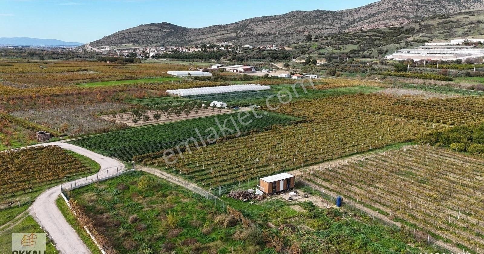 Okkalı Emlak Tan Menemen Yayla Mah De Satılık Müstakil Bahçe - Görsel 11