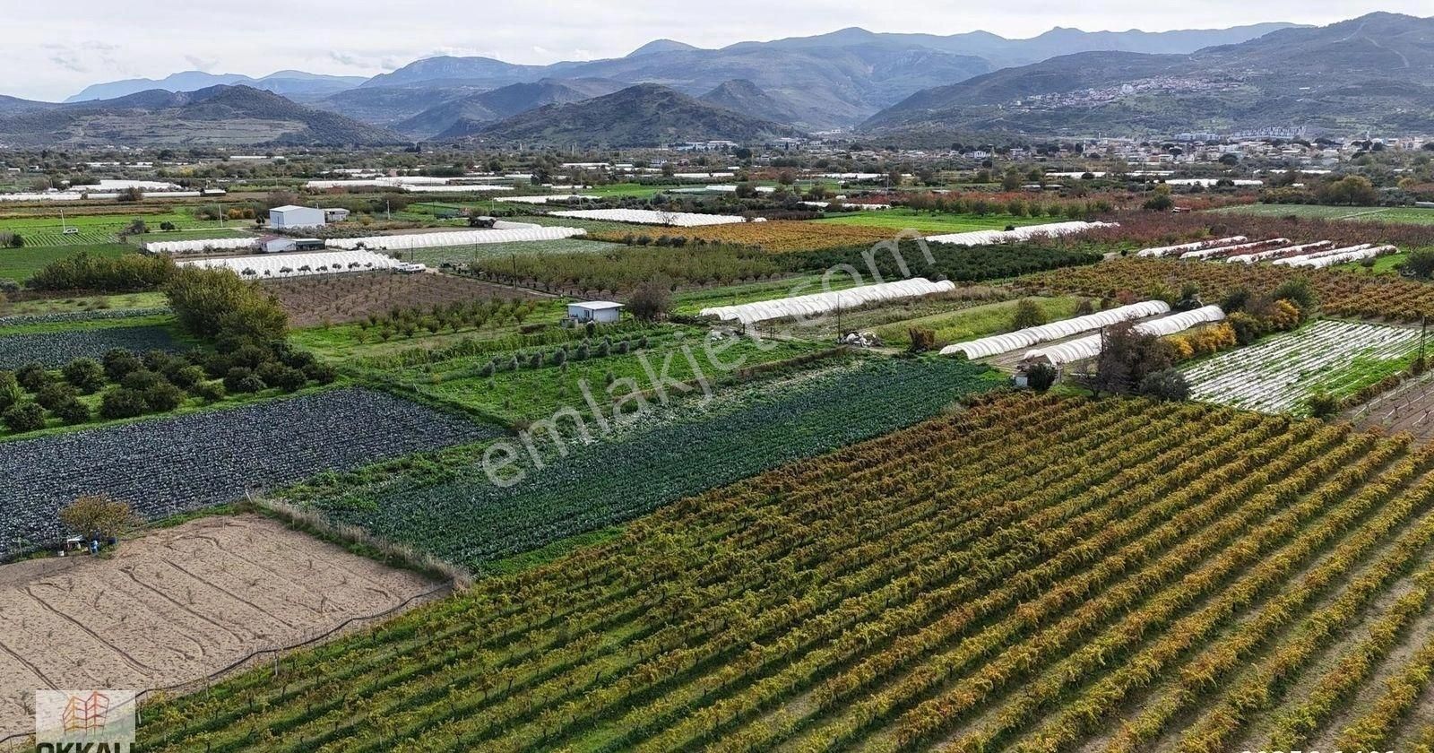 Okkalı Emlak Tan Menemen Yayla Mah De Satılık Müstakil Bahçe - Görsel 14