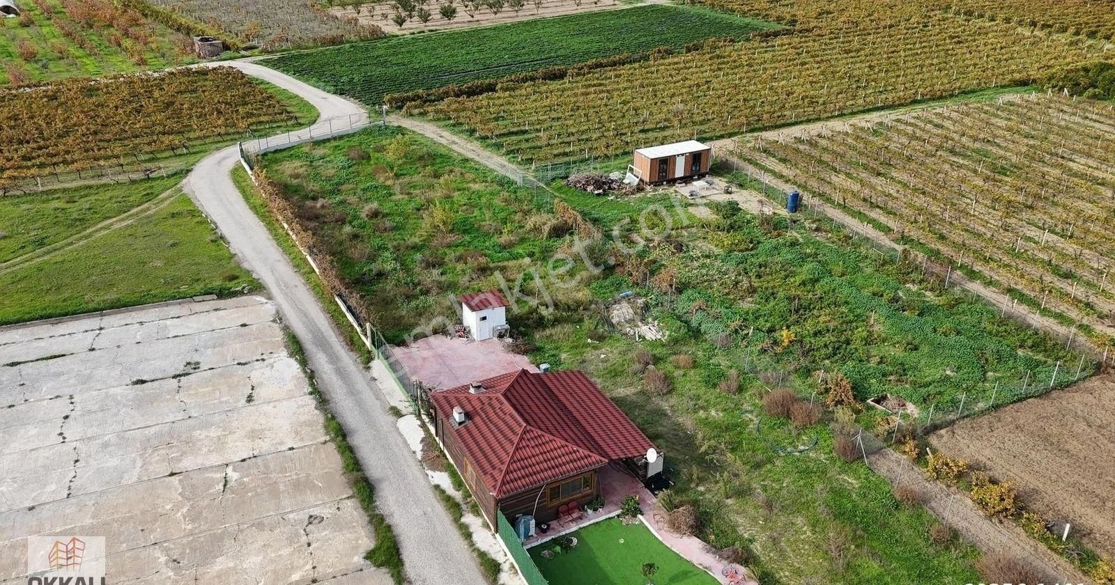 Okkalı Emlak Tan Menemen Yayla Mah De Satılık Müstakil Bahçe - Görsel 15