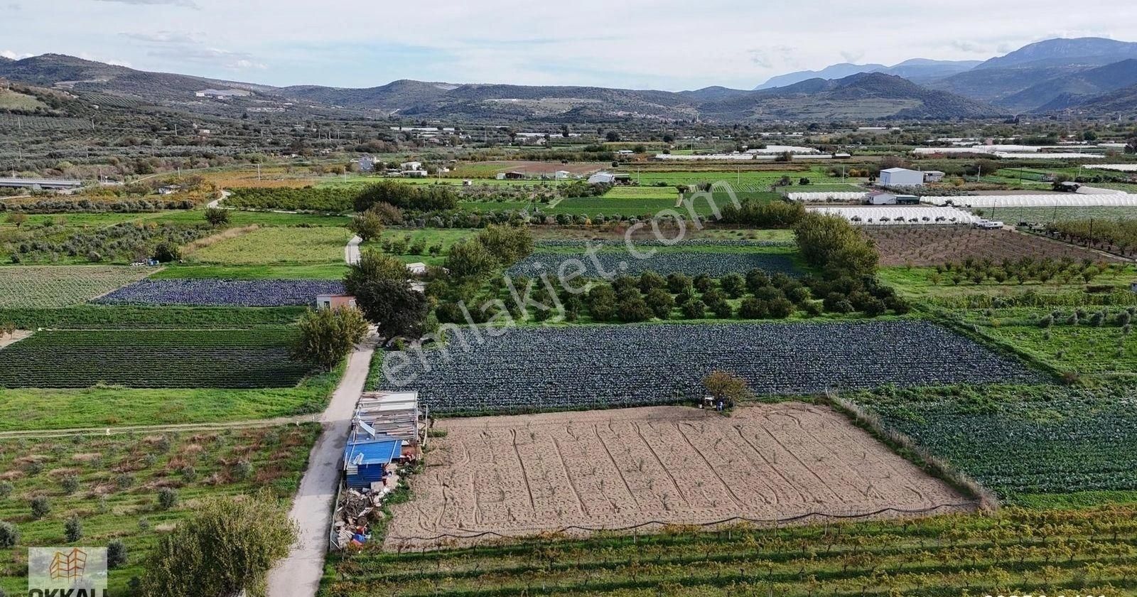 Okkalı Emlak Tan Menemen Yayla Mah De Satılık Müstakil Bahçe - Görsel 13