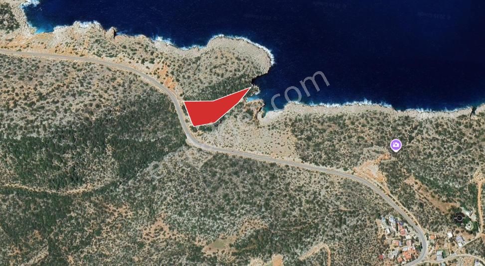 Kaş Bezirgan Denize Sıfır, Yola Cepheli 8.595 M² Zeytinlik