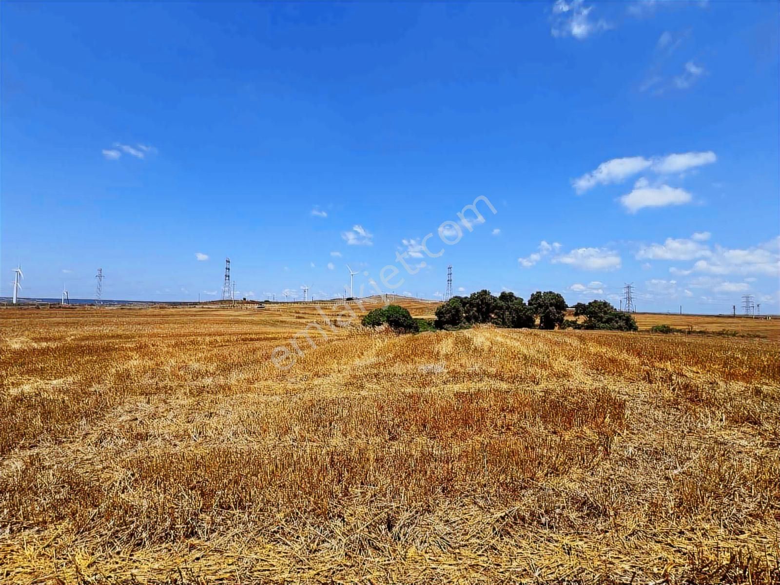 Silivri Fenerde 2.819 M² Yola Cepheli Tarla - Görsel 3