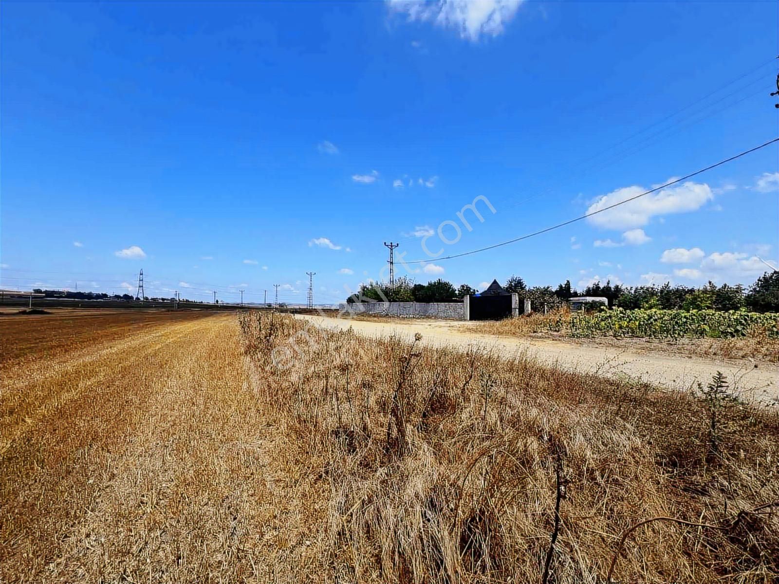 Silivri Fenerde 2.819 M² Yola Cepheli Tarla