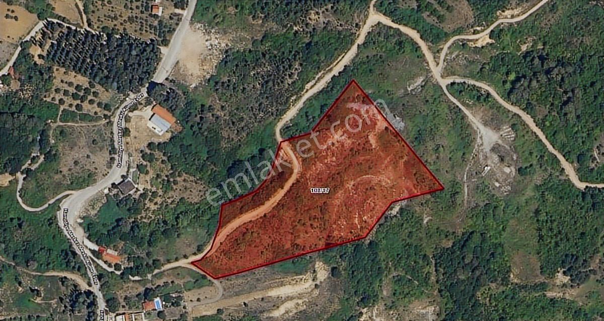 Kocaelı Gölcük Hamıdıye Mahallesı'nde 23.791 Tarla - Görsel 2