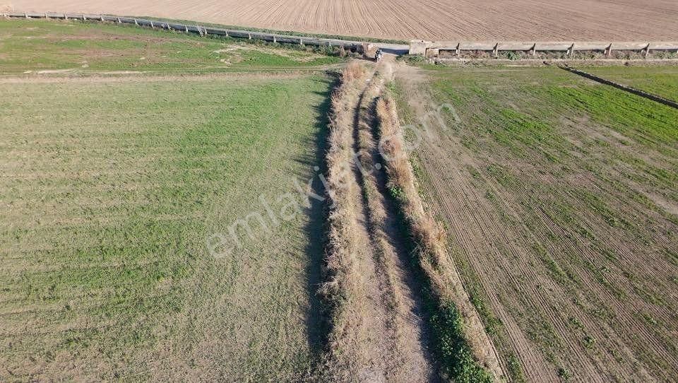Aydın Kuyucak Karapınar’da Otoban Kenarı Satılık Tarla - Görsel 2