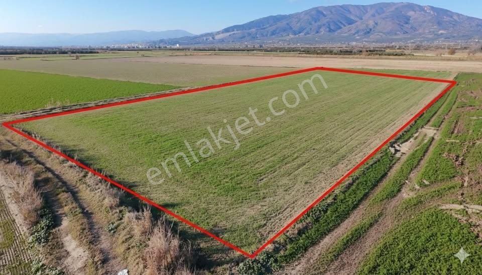 Aydın Kuyucak Karapınar’da Otoban Kenarı Satılık Tarla