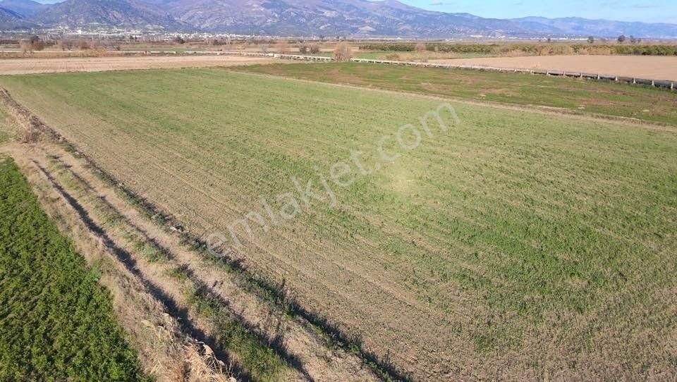Aydın Kuyucak Karapınar’da Otoban Kenarı Satılık Tarla - Görsel 9