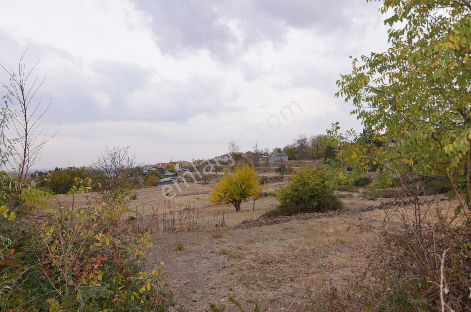 Talha Tozduman'dan Hatıp'ta Konya Manzaralı Köy İçinde 5.488 M2 - Görsel 23
