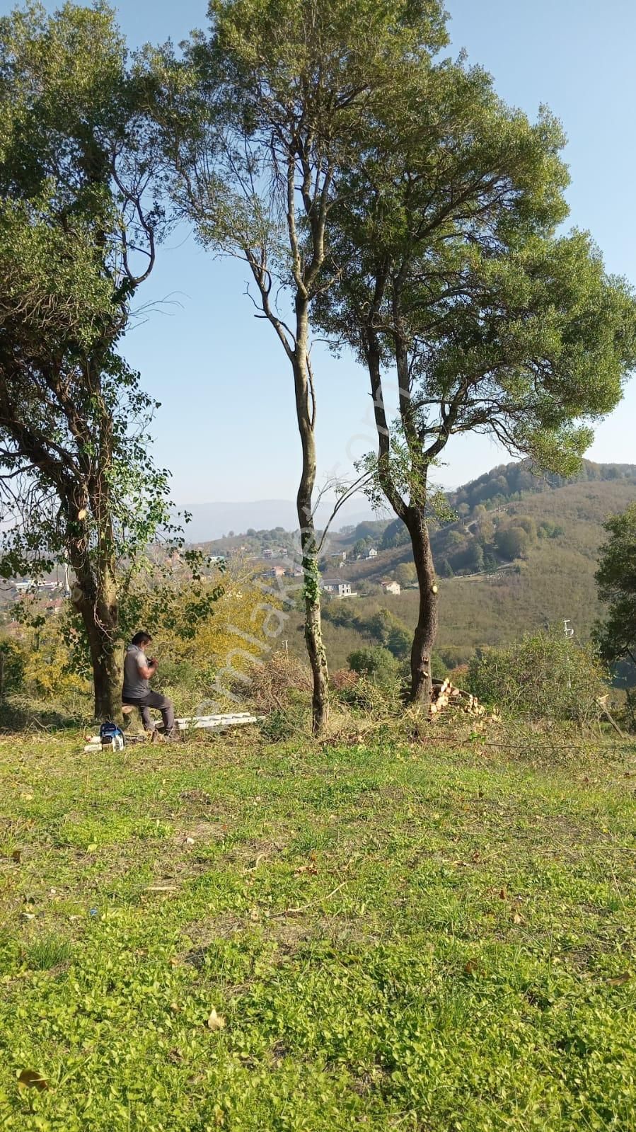 Kocaali'nin En Doğal Mahallesi %40 İmarlı,doğa Harikası 30 Adet Arsalar Satışta - Görsel 9