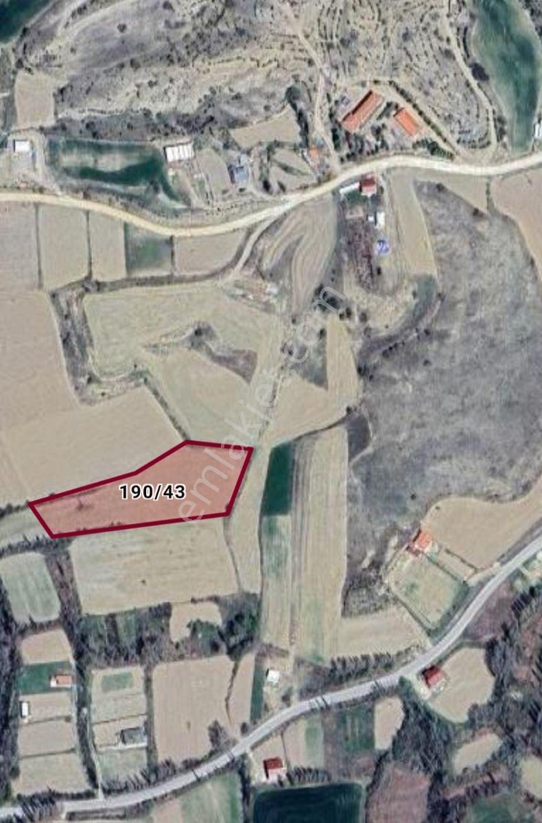 Başarakavak'ta Fırsat! Kooperatif Sulu, Verimli ,5.030 M2 Tarla - Görsel 14