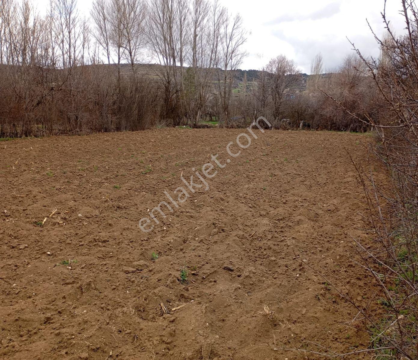 Başarakavak'ta Fırsat! Kooperatif Sulu, Verimli ,5.030 M2 Tarla - Görsel 21