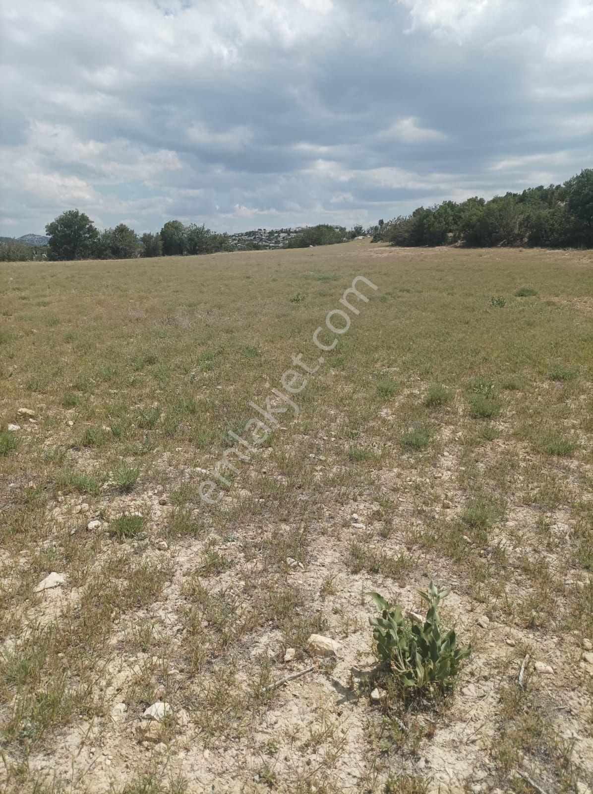 Mersin Mut Çömelek Köyü Düz Tarla - Görsel 3