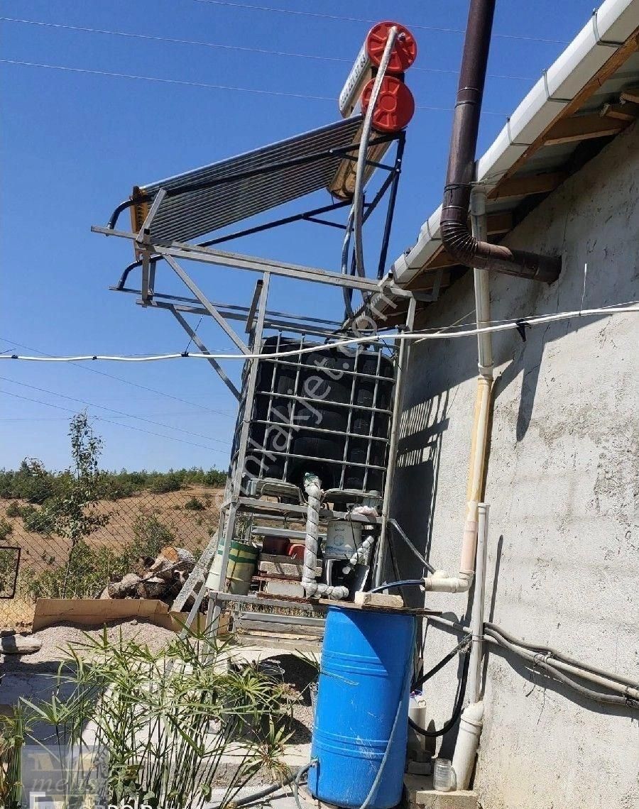 Bilecik Söğüt'te Muhteşem Bağ Evi Ve Bahçesi - Görsel 34