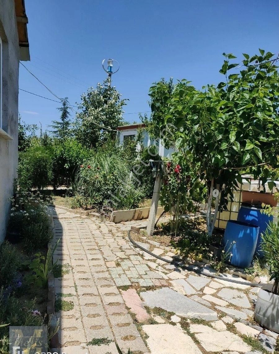 Bilecik Söğüt'te Muhteşem Bağ Evi Ve Bahçesi - Görsel 31