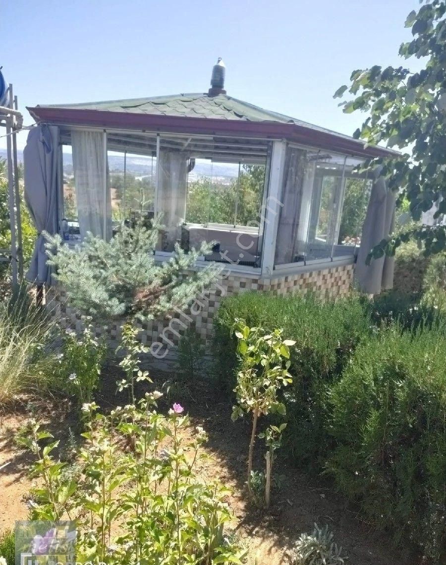 Bilecik Söğüt'te Muhteşem Bağ Evi Ve Bahçesi - Görsel 5