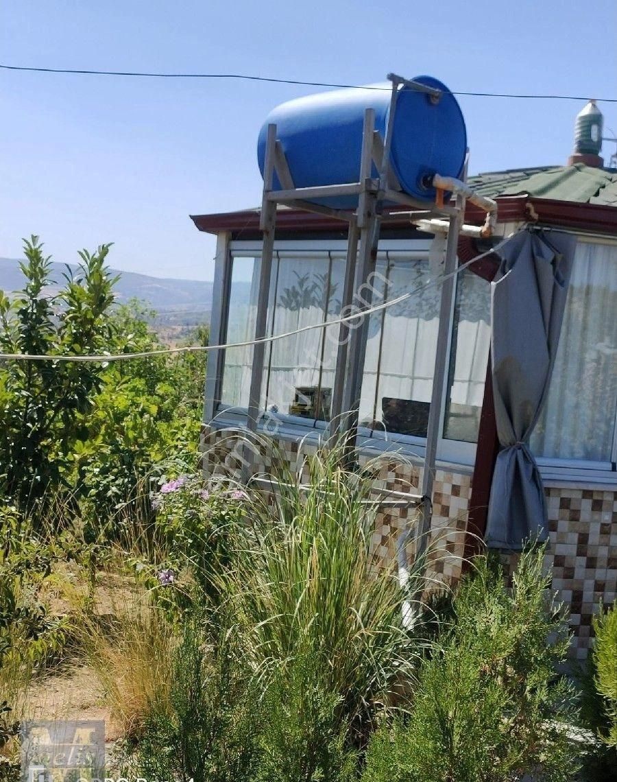 Bilecik Söğüt'te Muhteşem Bağ Evi Ve Bahçesi - Görsel 26