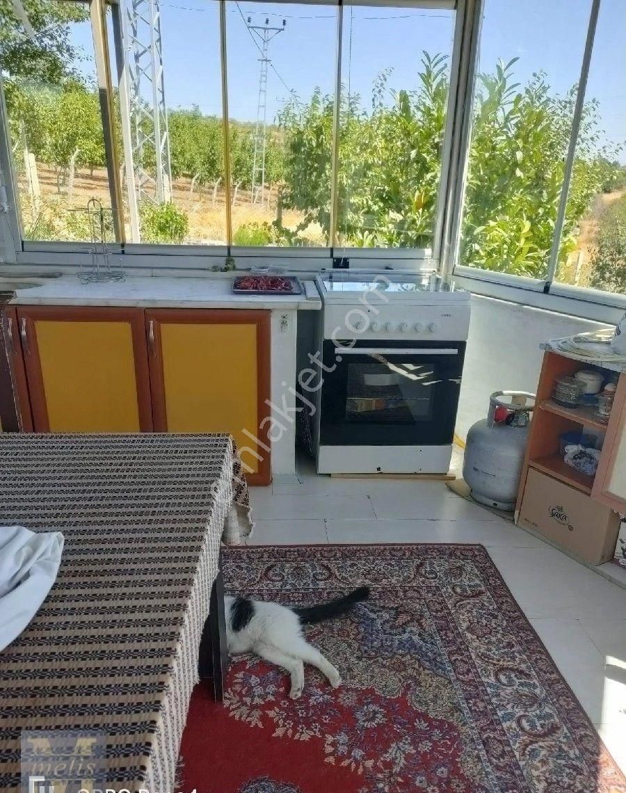 Bilecik Söğüt'te Muhteşem Bağ Evi Ve Bahçesi - Görsel 35