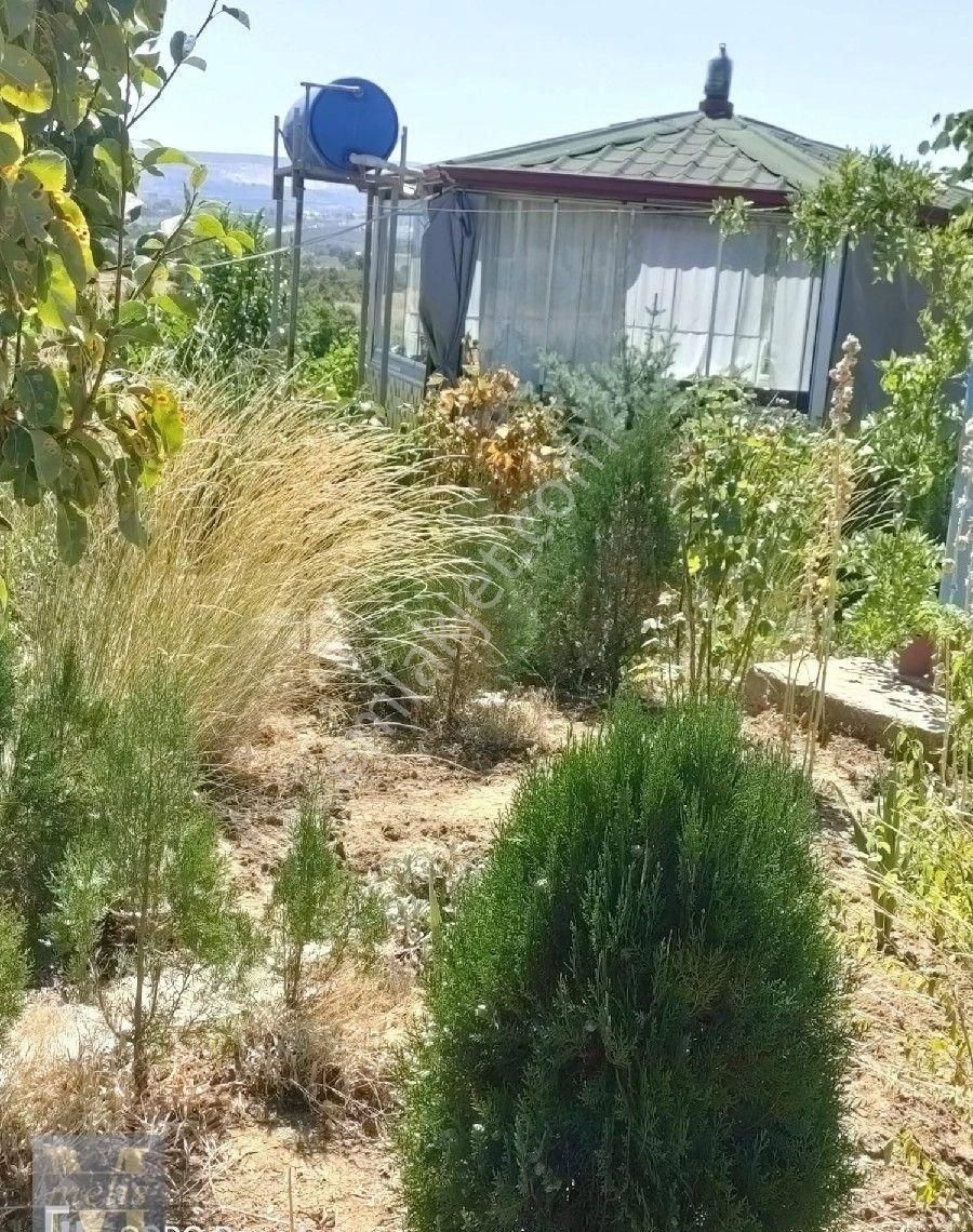 Bilecik Söğüt'te Muhteşem Bağ Evi Ve Bahçesi - Görsel 16