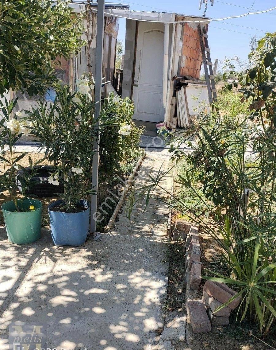 Bilecik Söğüt'te Muhteşem Bağ Evi Ve Bahçesi - Görsel 14