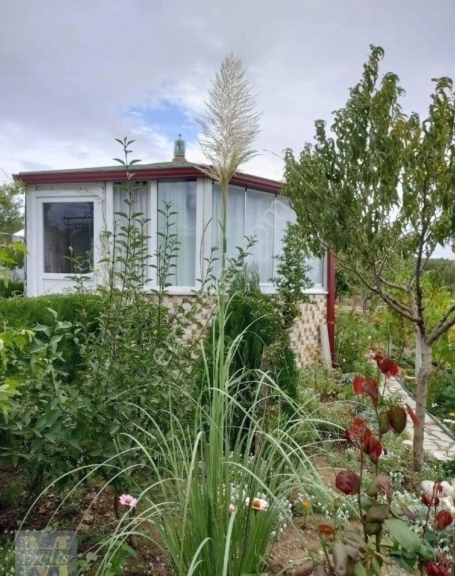 Bilecik Söğüt'te Muhteşem Bağ Evi Ve Bahçesi - Görsel 29