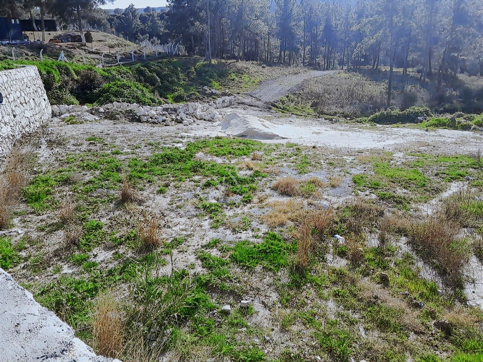 Söke Yaylaköyde Satılık Kooperatif Hisseli Arsa - Görsel 3