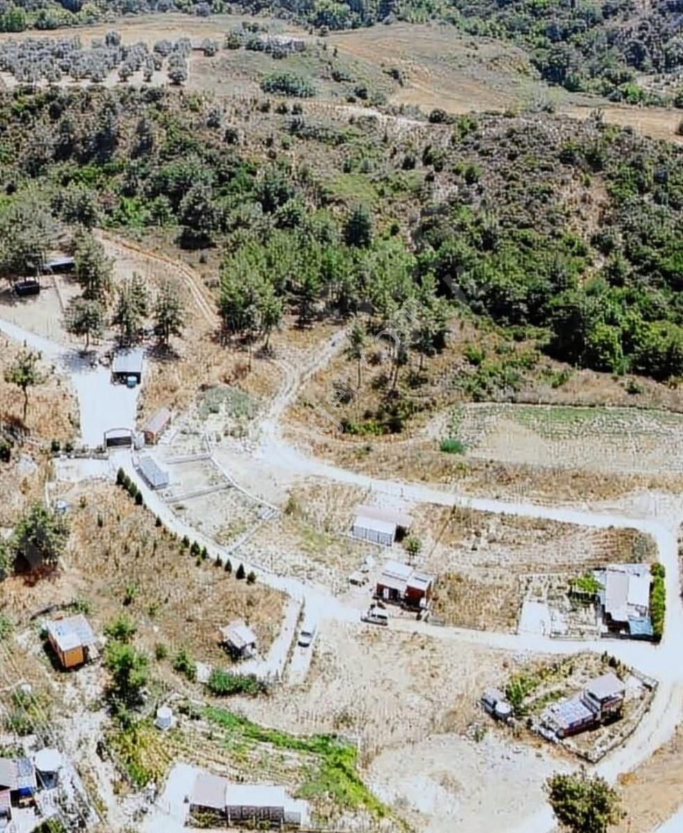 Söke Yaylaköyde Satılık Kooperatif Hisseli Arsa - Görsel 9