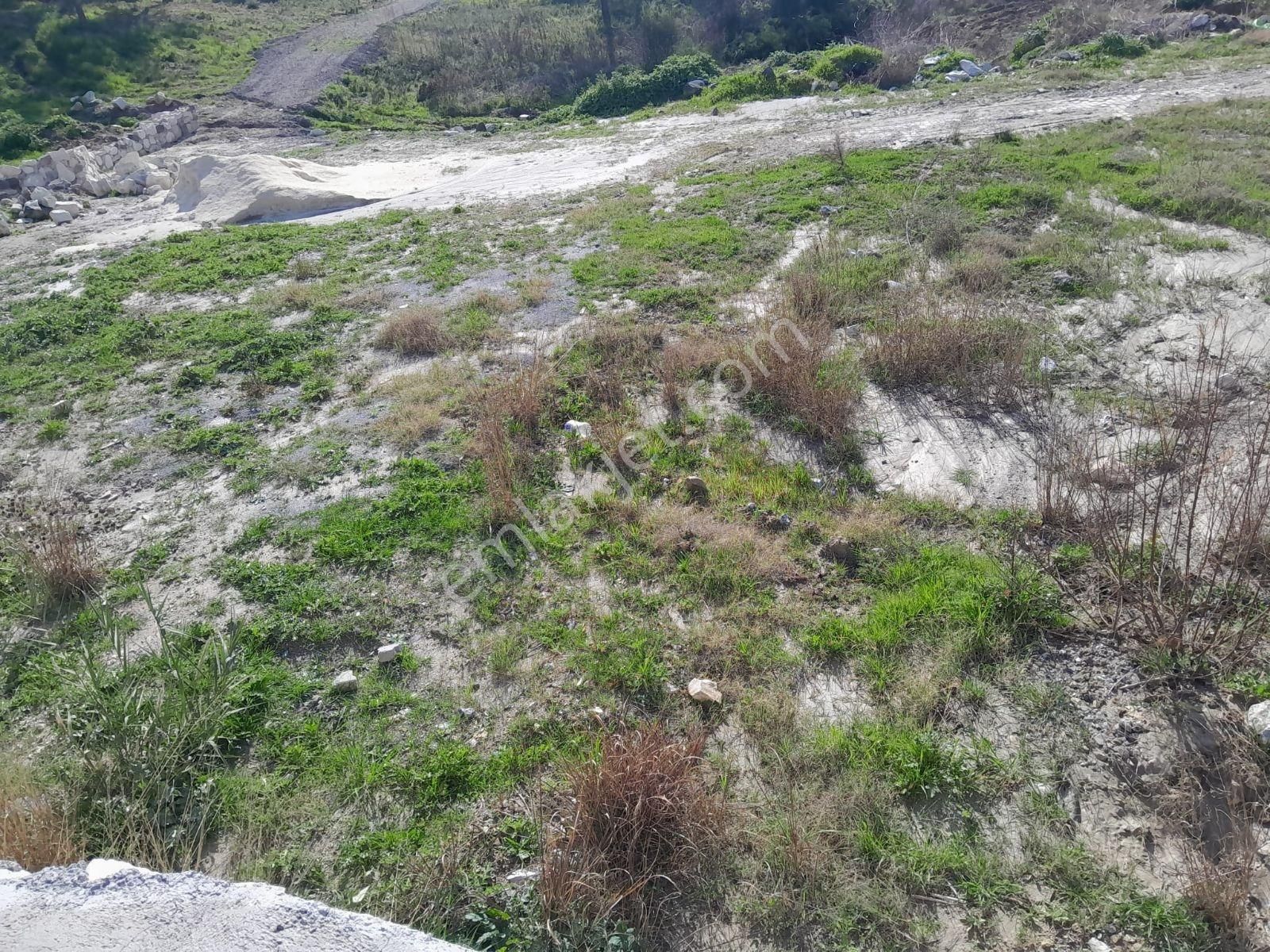 Söke Yaylaköyde Satılık Kooperatif Hisseli Arsa - Görsel 11